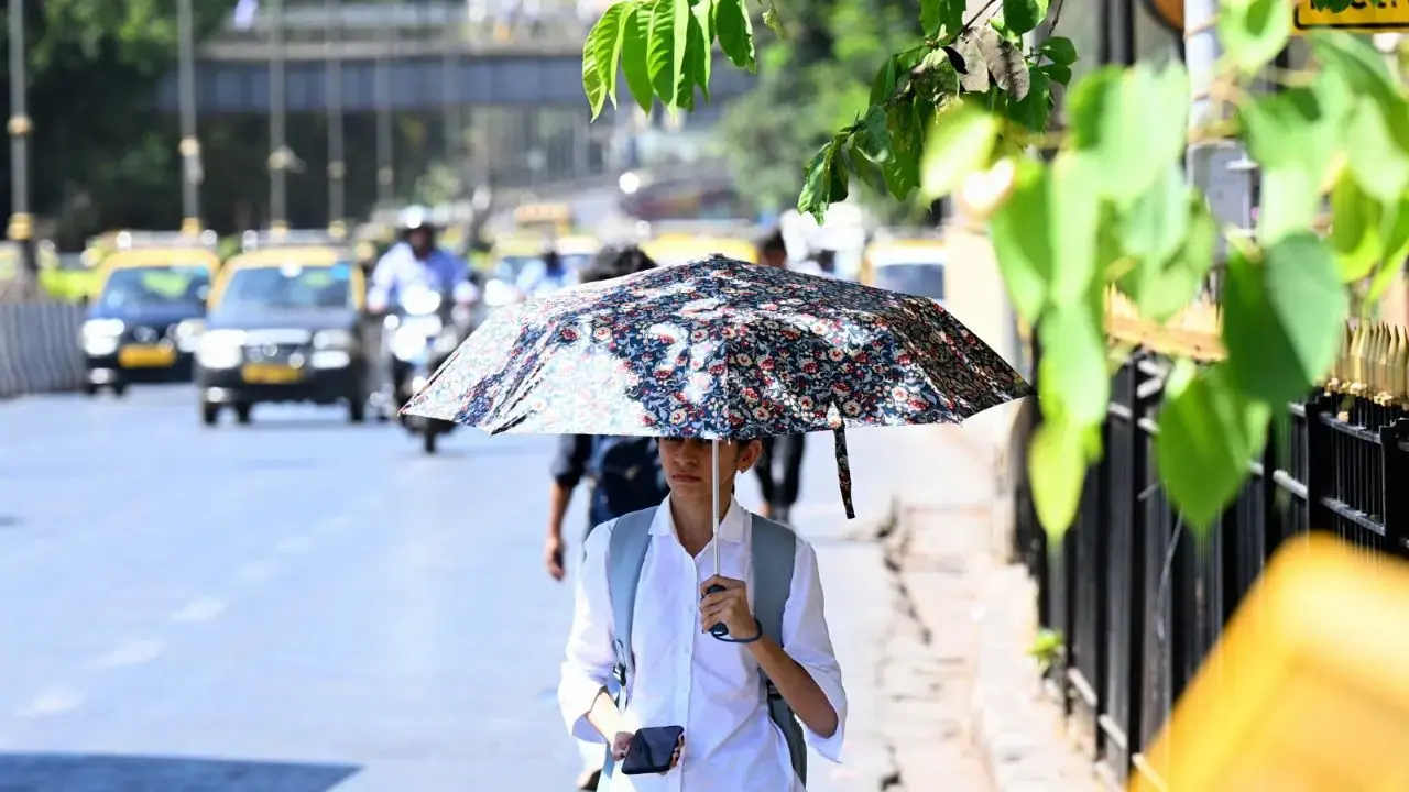 Mumbai weather update: City records good air quality amid humid weather conditions Mumbai recorded an Air Quality Index (AQI) of 41 on Thursday. File Pic