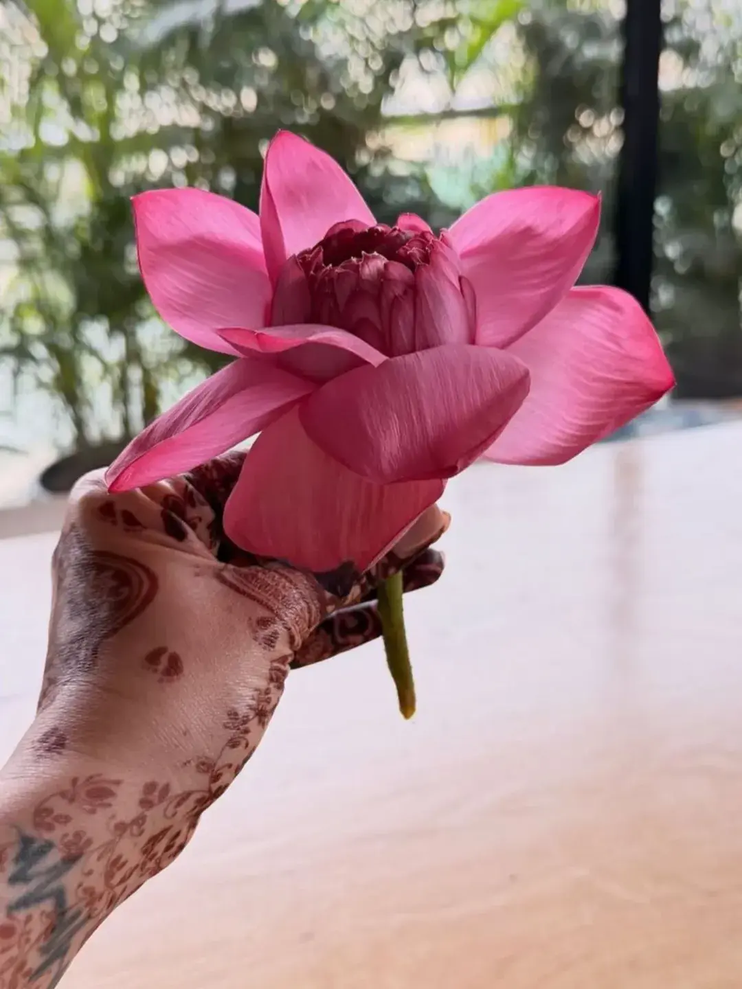Karishma Tanna dropped every details of their special day and revealed how the decor had lotus as an integral part Karishma Tanna dropped every details of their special day and revealed how the decor had lotus as an integral part