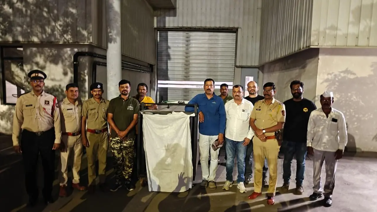 Maharashtra forest department captures leopard after two-day rescue operation at Mercedes-Benz plant in Pune’s Chakan The animal is believed to be a fully grown male leopard aged between 3.5 and 4 years. Pic via special arrangement