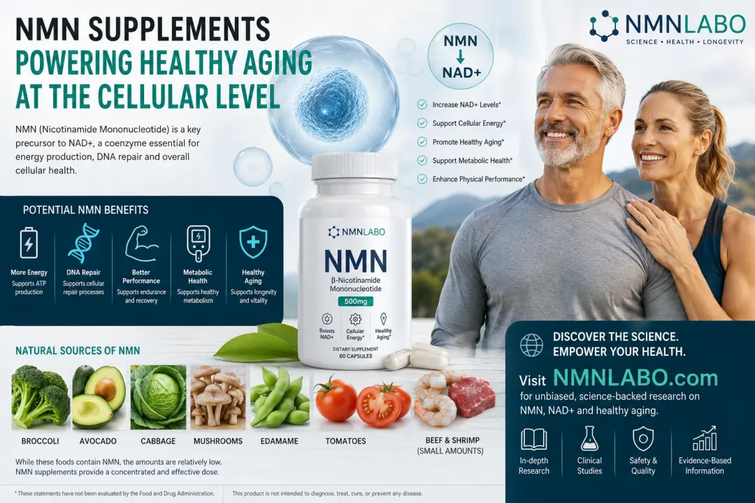 Best NMN Supplements-The Top 4 Natural Products