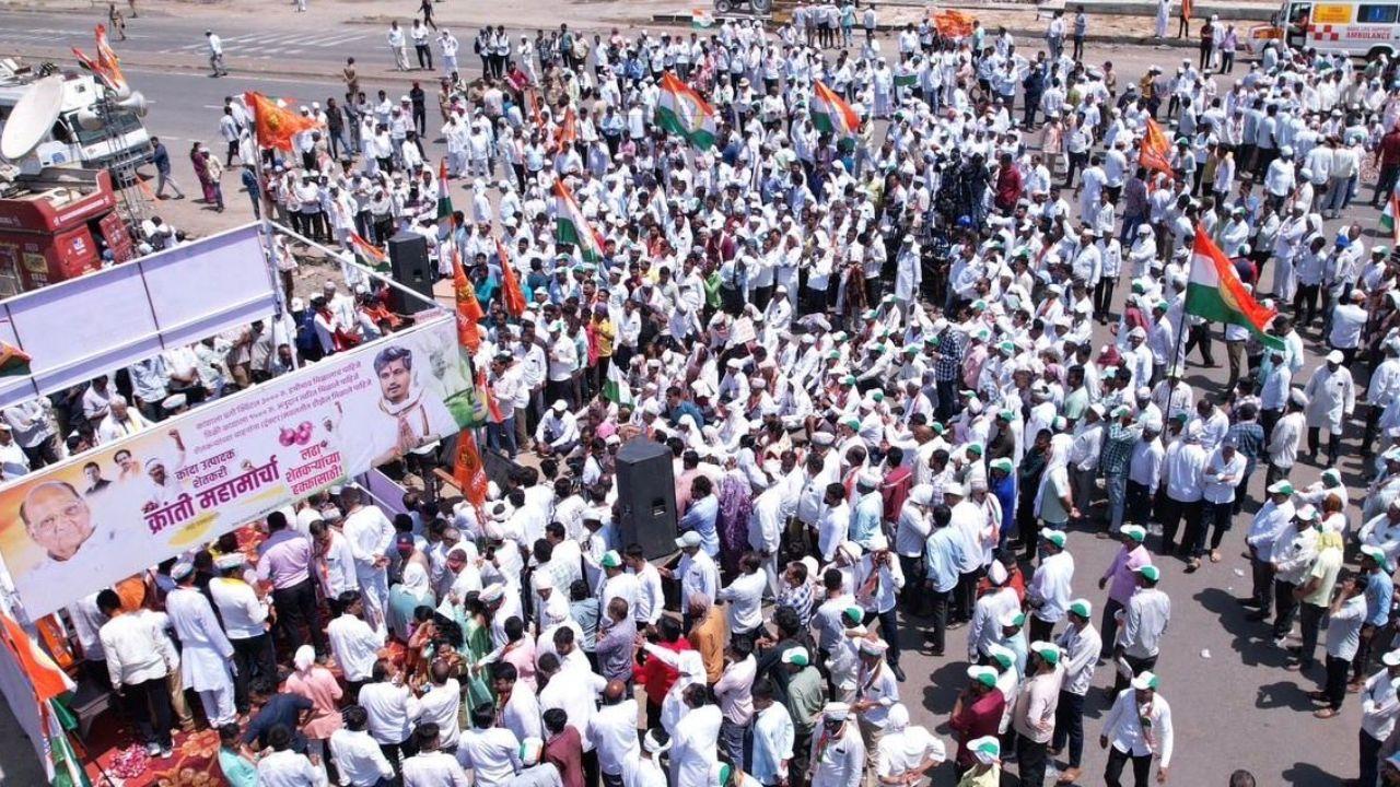 Farmers participating in the ongoing agitation in Nashik have expressed strong dissatisfaction over the low onion procurement rates offered by the government Farmers participating in the ongoing agitation in Nashik have expressed strong dissatisfaction over the low onion procurement rates offered by the government