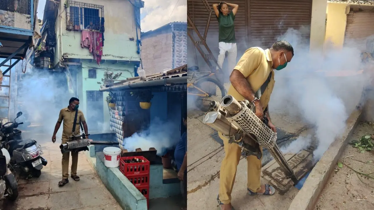 Mumbai civic body ramps up pre-monsoon mosquito control drive; over 32 lakh homes inspected During the same period, fogging operations were carried out in the vicinity of 30,17,220 households. Pic/ BMC