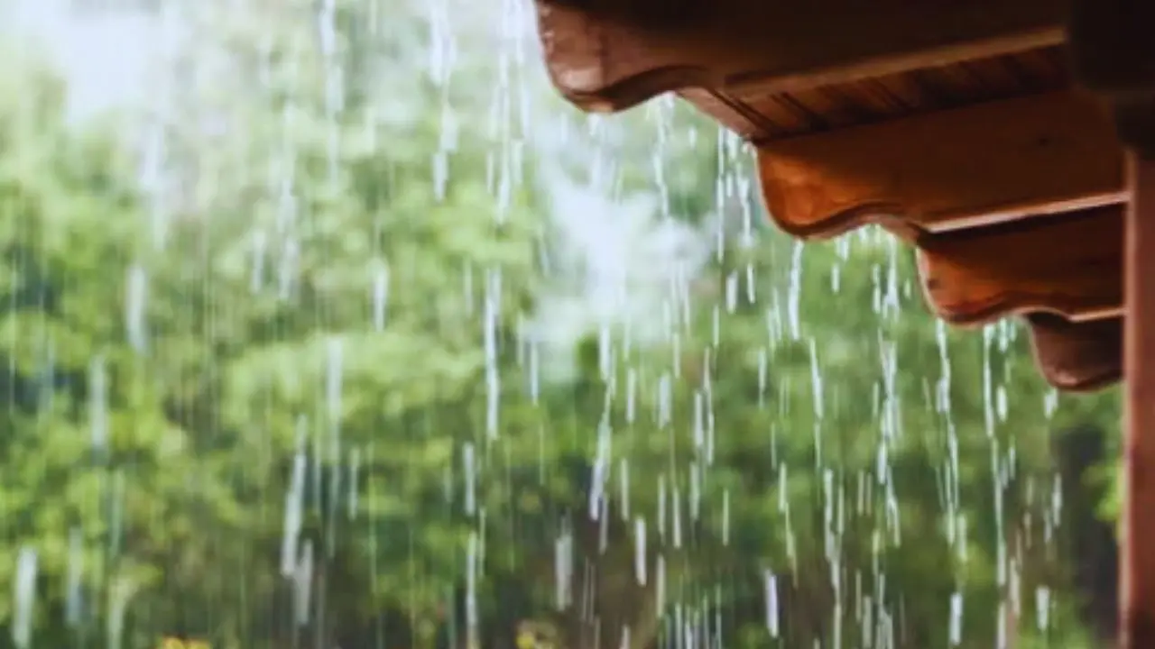 Gondia is under an orange alert, with the IMD predicting thunderstorms accompanied by lightning. Representational Pic