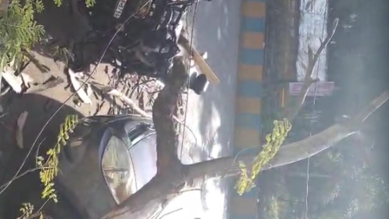 Officials further said that no injuries were reported in the incident