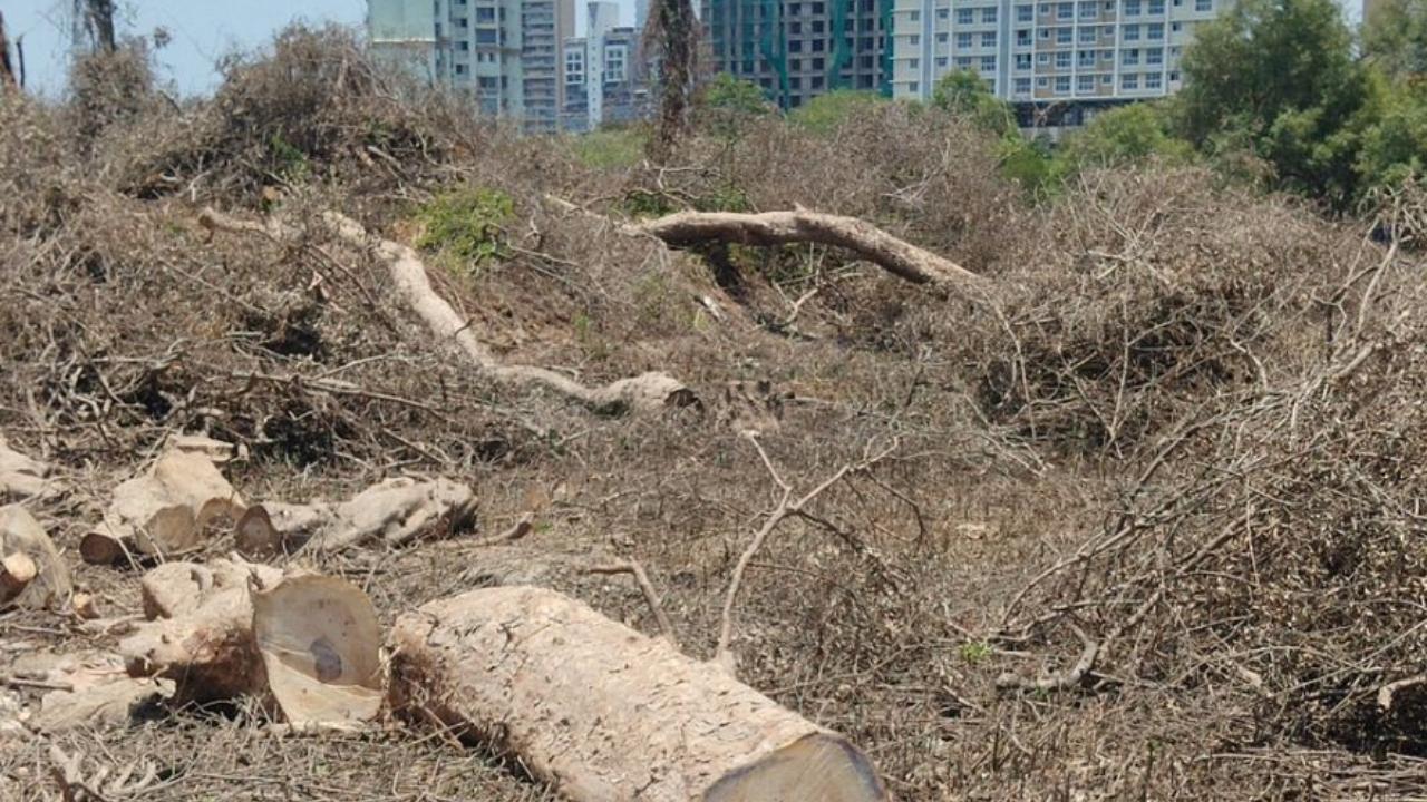 Versova-Bhayandar project: Citizens group allege environmental violations