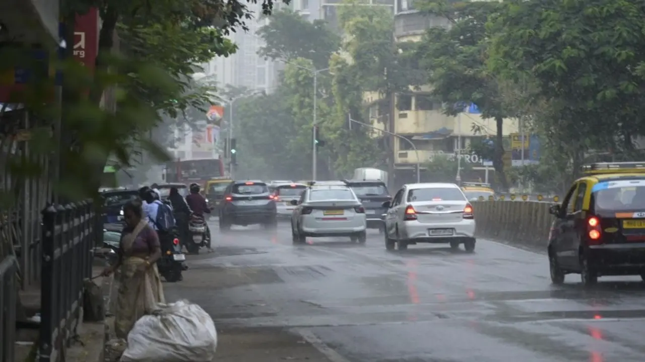 IN PHOTOS | Parts of Mumbai receive rain on Friday; IMD issues yellow alert Parts of Mumbai received early morning rainfall on Friday, October 30 after an intense spell pf heat since the last few days