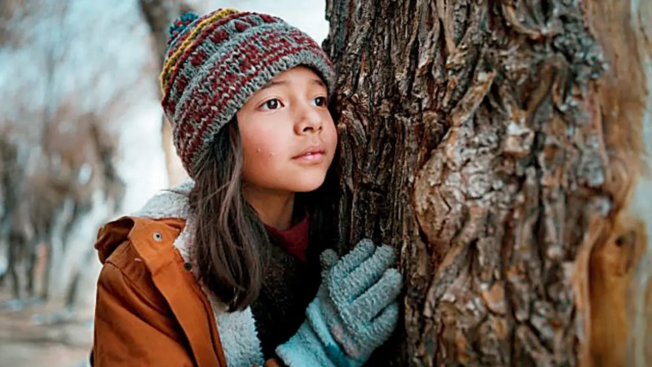 A still from ‘Birds of Ice’