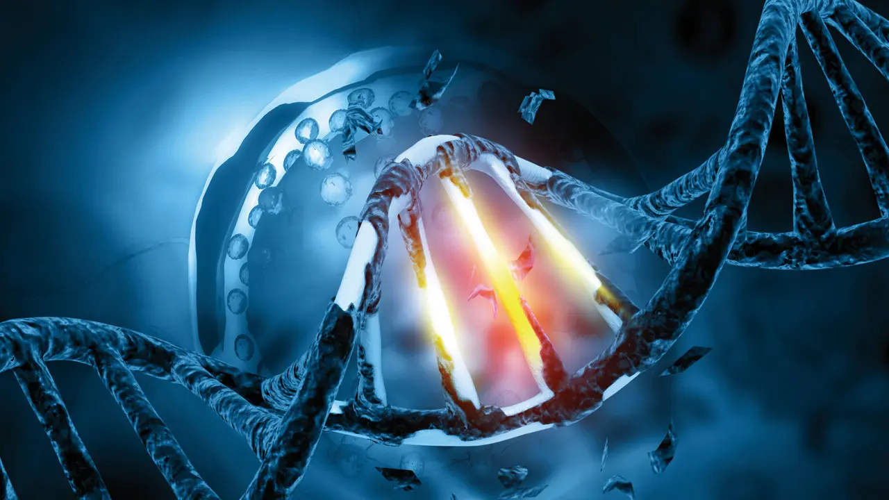 Calorie restriction reduces DNA mutations across tissues, study reveals Representation pic/iStock