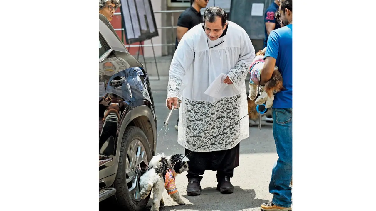 Mumbai Diary: Tuesday Dossier Pic/Satej Shinde