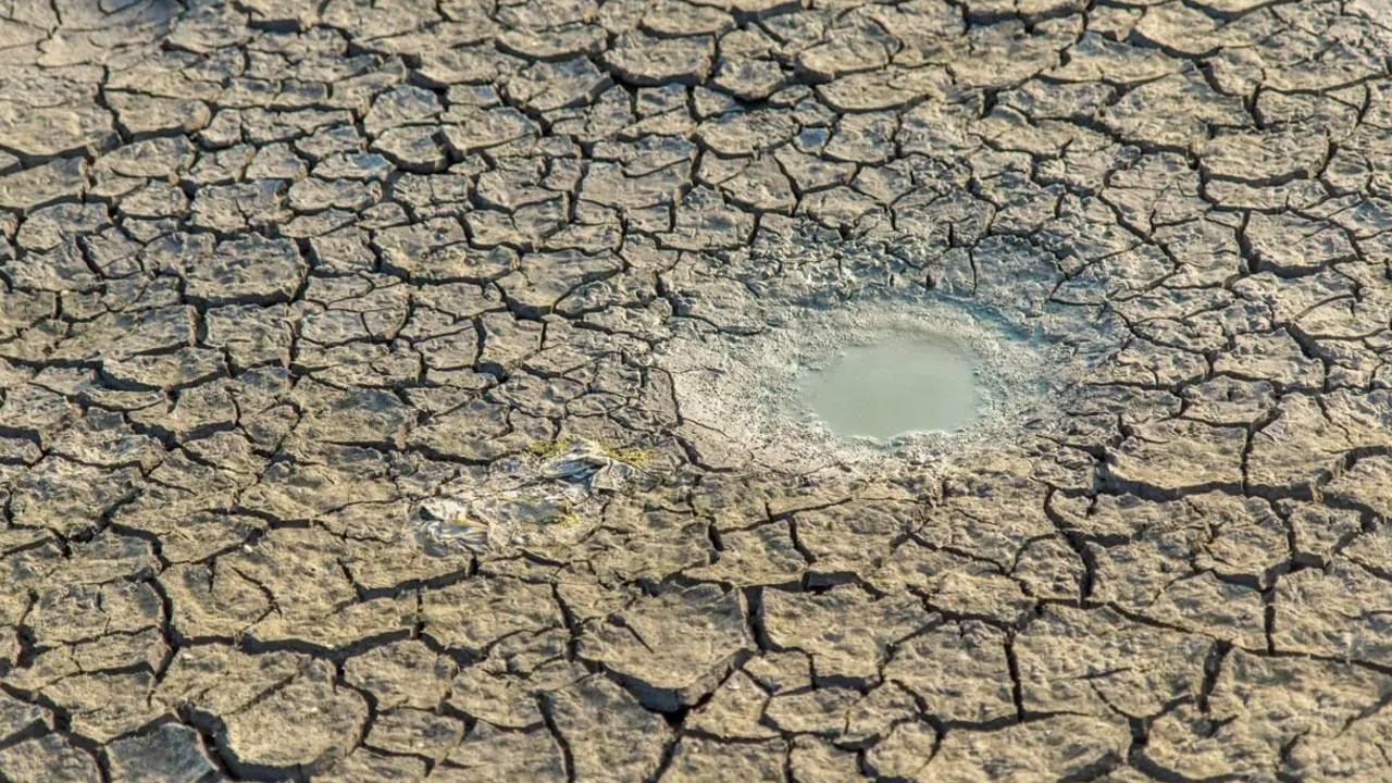 Maharashtra has declared 265 tehsils drought-affected amid concerns over crop damage and water shortages. File pic