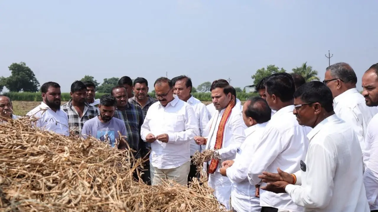 Maharashtra drought: ‘How can farmers celebrate Diwali with Rs 5,000?’ asks state Congress chief Harshwardhan Sapkal Sapkal visited drought-affected villages in Washim district to assess the ground situation and interact with farmers.