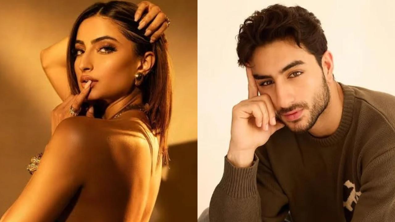 Did Ibrahim Ali Khan and Palak Tiwari breakup? Here's what we know