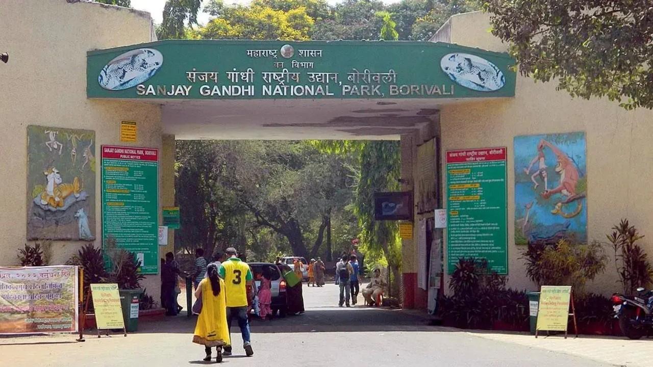 One reportedly killed in alleged firing inside Sanjay Gandhi National Park The incident was reported in Survey No. 101 under Chena Circle in the Yeoor Range of the park. Representational Pic