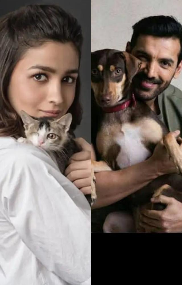 World Animal Day: Bollywood celebs who support initiatives