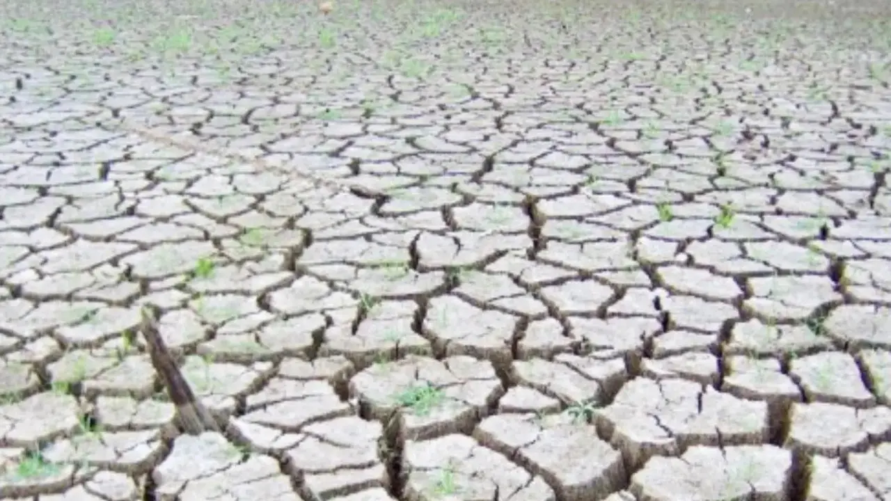 Drought-hit Latur plans step-wise measures to tackle water shortage The plan comes after the Maharashtra government declared drought in 265 of the state's 358 talukas. Representational Pic/File