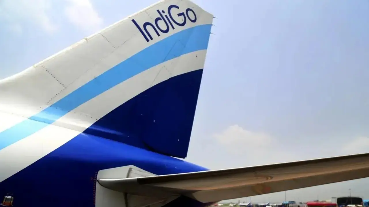 IndiGo to launch daily Navi Mumbai-Udaipur flights from November 15 The new IndiGo services will directly connect Udaipur with seven Indian cities. Representational Pic