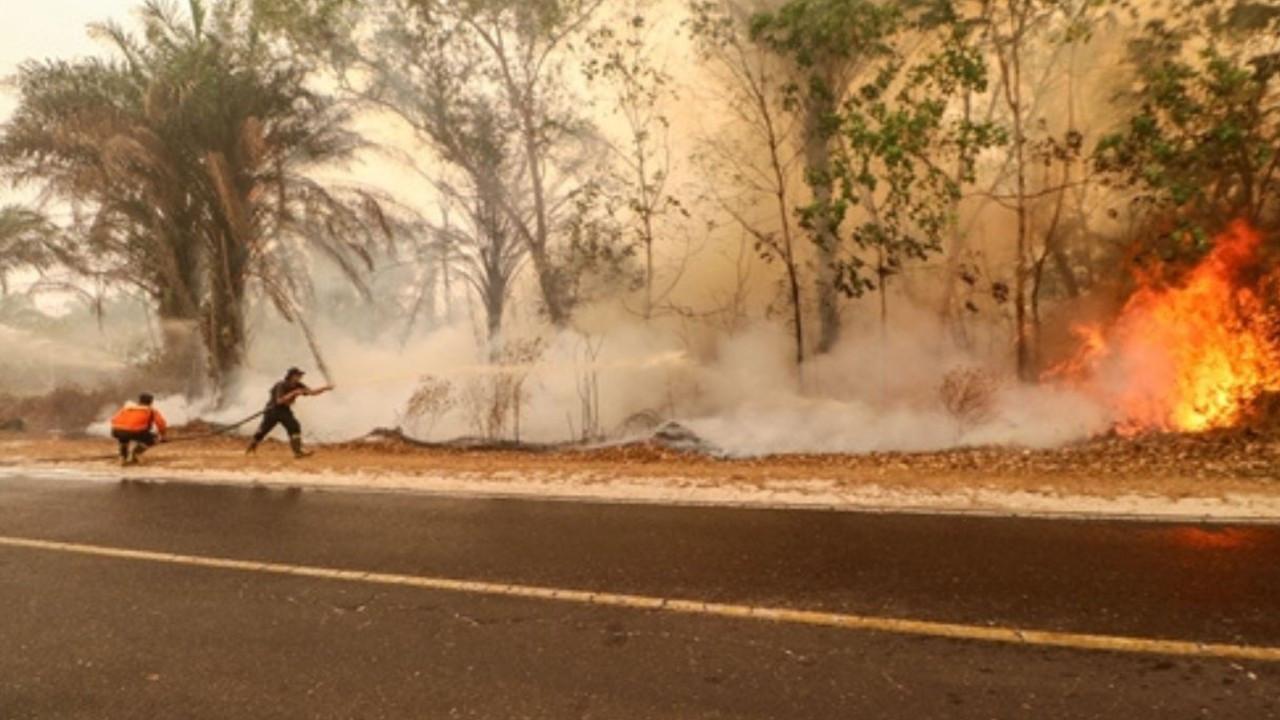 Firefighters attempt to put a wildfire out in Indonesia. File pic
