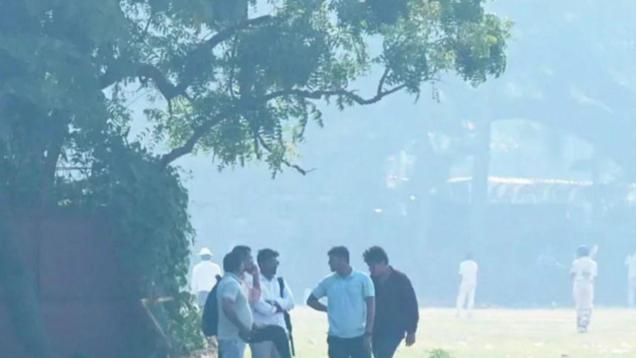 People watch cricket from the shade of a tree at Azad Maidan- With temperatures soaring across Mumbai, people sought shelter from the afternoon sun as the city experienced unusually hot October weather People watch cricket from the shade of a tree at Azad Maidan- With temperatures soaring across Mumbai, people sought shelter from the afternoon sun as the city experienced unusually hot October weather