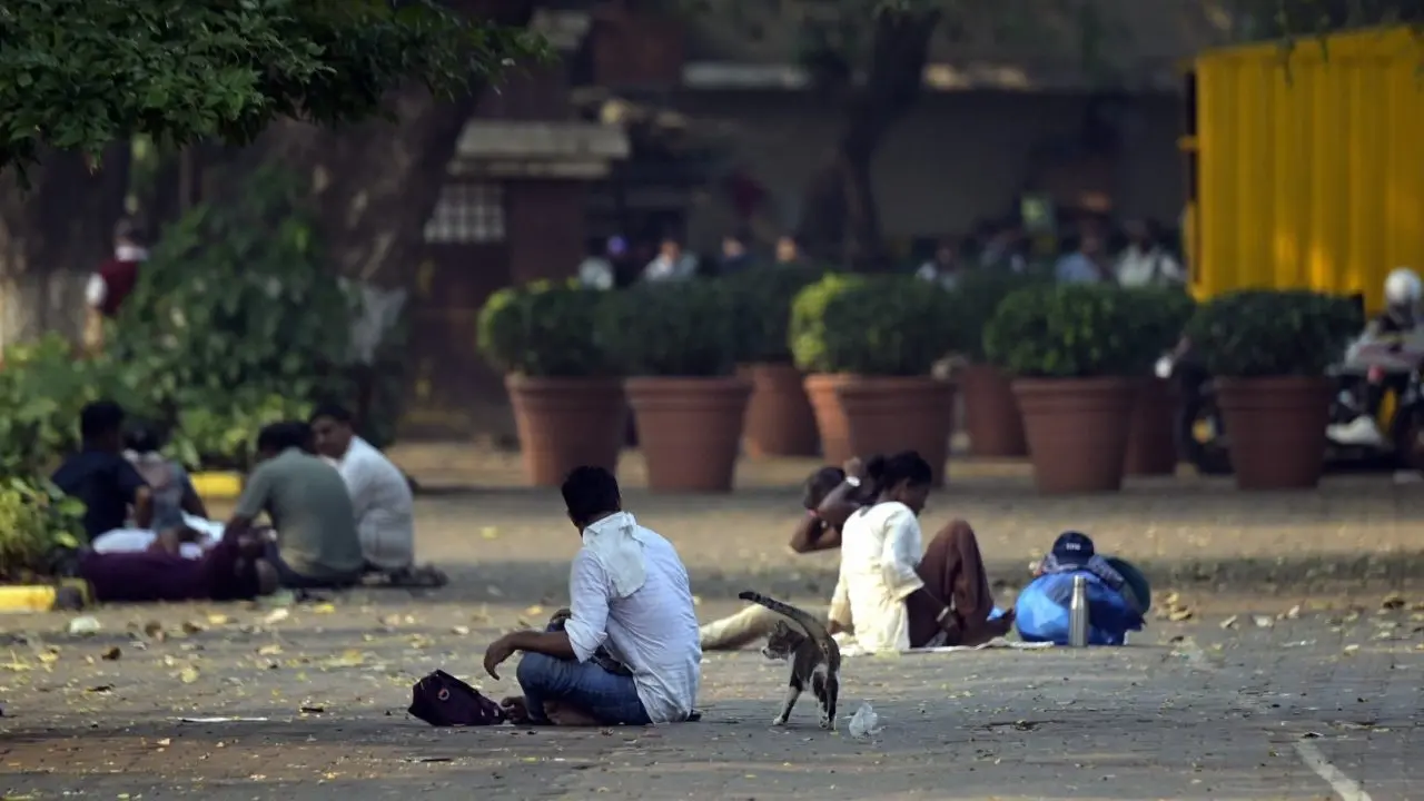People relax in the shade of a tree on a footpath in Mumbai on Saturday, October 24, 2026, as hot and humid conditions make the afternoon uncomfortable. People relax in the shade of a tree on a footpath in Mumbai on Saturday, October 24, 2026, as hot and humid conditions make the afternoon uncomfortable.