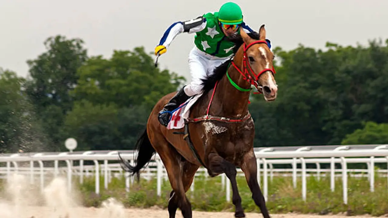 Endurance for Suresh Mahindra Trophy Pic/iStock