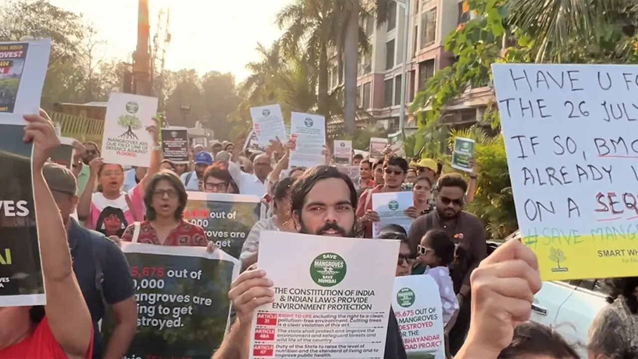 A still from the documentary features the protests against mangrove felling in Charkop. PICS COURTESY/SAVE MUMBAI’S MANGROVES