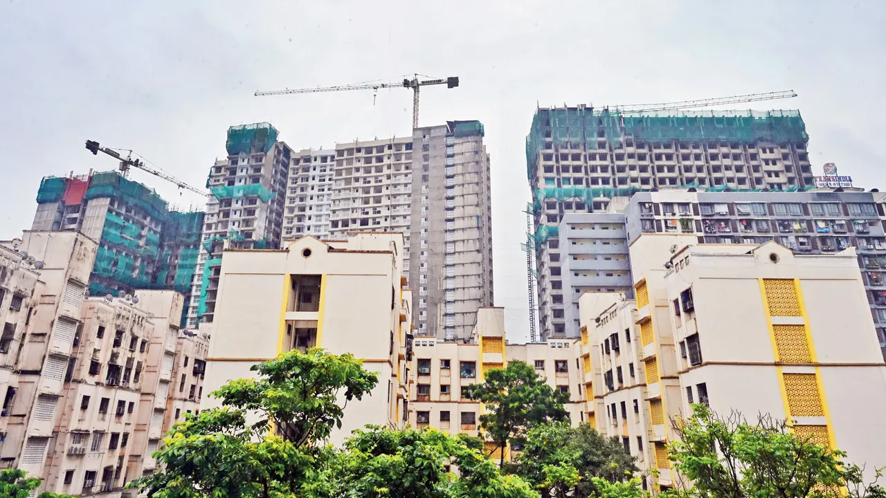 Mumbai developers forfeit Rs 4.25 crore in tree deposits across six BMC wards since 2022 When developers buy land and need to remove trees to make way for construction, they must transplant the same number of trees they remove. Representation Pic/Atul Kamble