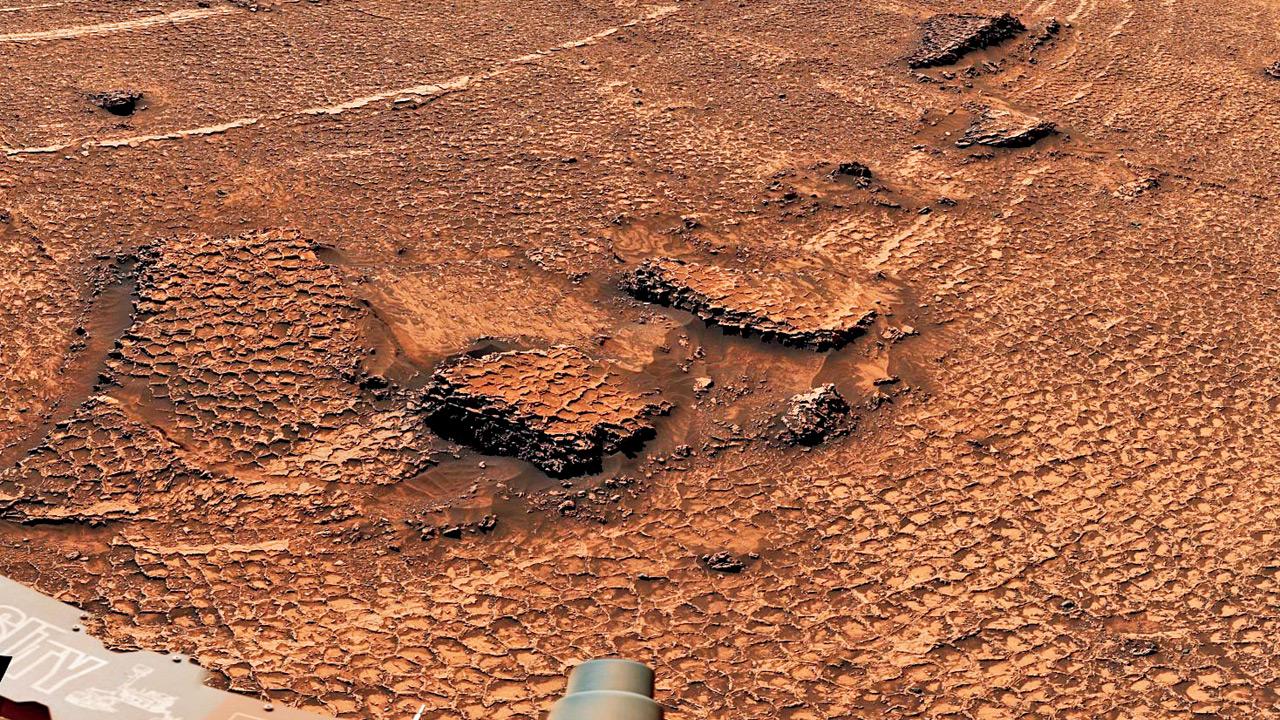 NASA’s Curiosity rover spots mysterious polygonal patterns on Mars NASA’s Curiosity Mars rover captured this close-up view. PIC COURTESY/NASA