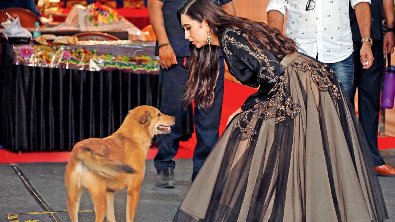 Sonali's Society: Karisma Kapoor's love for dogs, Harbhajan Singh's revelation Pic/Shadab Khan
