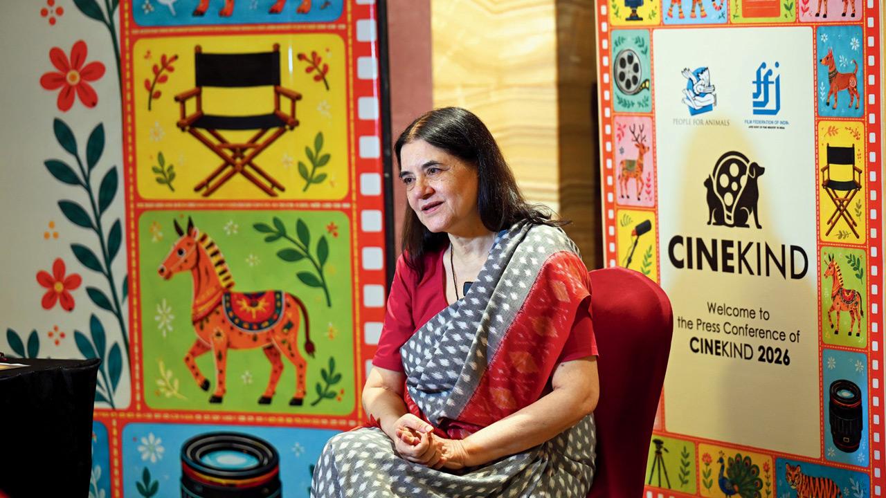Mumbai: Maneka Gandhi calls for designated feeding spots for community animals Maneka Gandhi speaks out about celebrating compassion at the press conference on Thursday. Pic/Satej Shinde