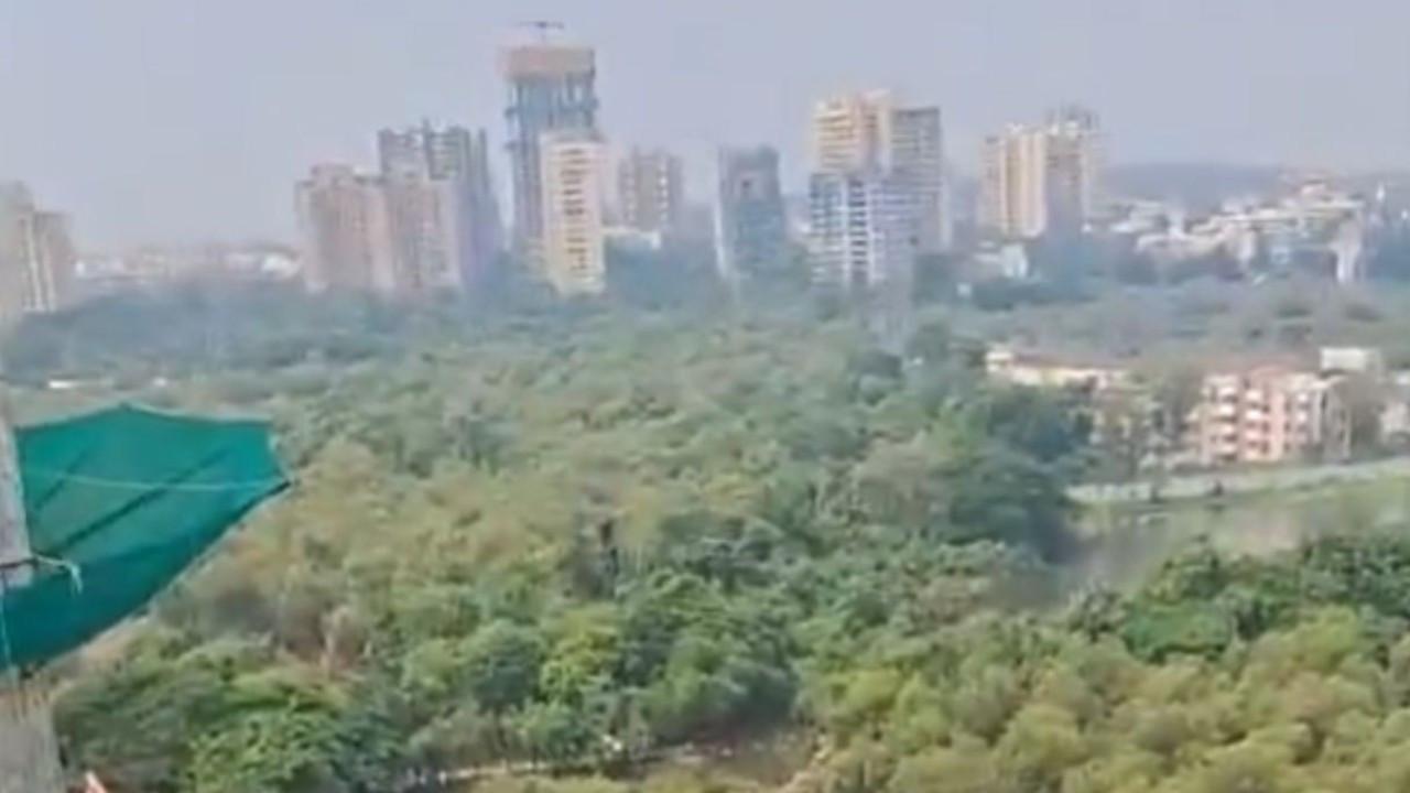 Mumbai: Lokhandwala residents allege mangrove cutting near Backroad Lokhandwala residents raise alarm over alleged mangrove cutting in Andheri West (Pic/X@AndheriLOCA)