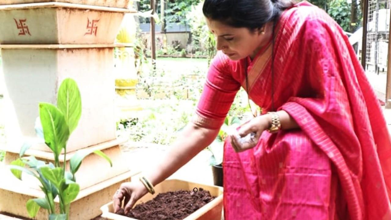 From Bappa to saplings: Mumbai civic body expands ‘One Ganpati, One Tree’ initiative; details here Mayor Ritu Tawde planted tulsi and sunflower saplings using the clay and water collected after Ganpati idol immersion at her official residence in Byculla on Saturday. PIC/BMC