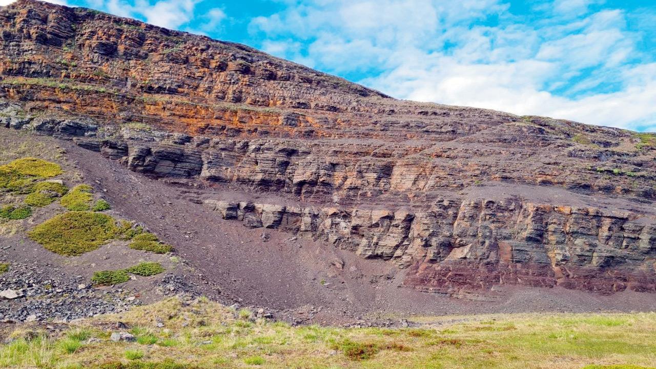 The area in the field where the fossil was discovered.  PICS COURTESY/Yorick Veenma