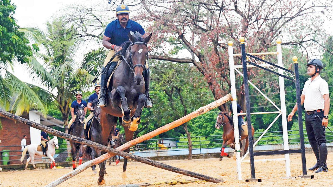 Mumbai steps up security with 24,000-plus police personnel for Anant Chaturdashi visarjan Constable Sagar Pawar and his horse Abhimanyu train at the Marol Police Camp. Pic/Satej Shinde