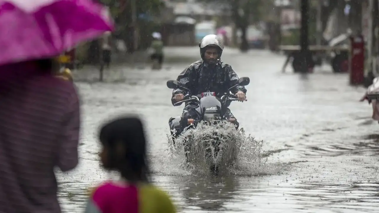 Uttar Pradesh rain alert: Schools closed in several districts for student safety Representational image. File pic