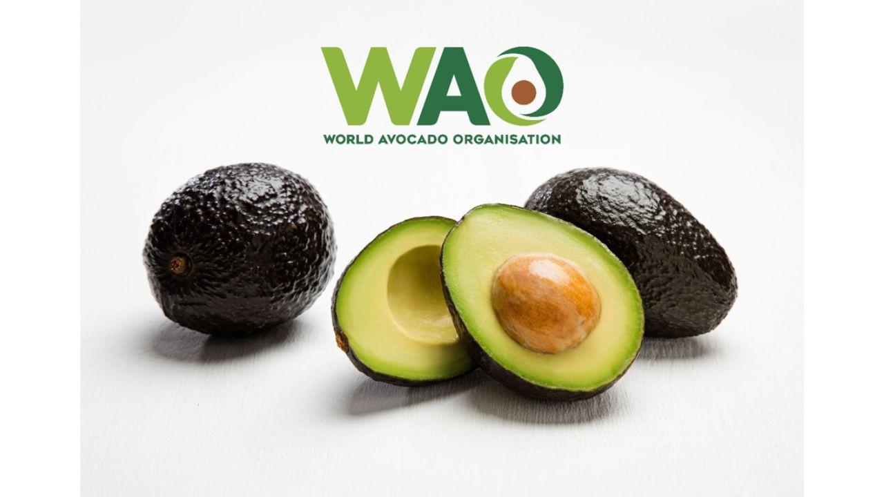 From Toast to Self-Care: 7 Everyday Ways Indians Are Embracing Avocados Avocado.