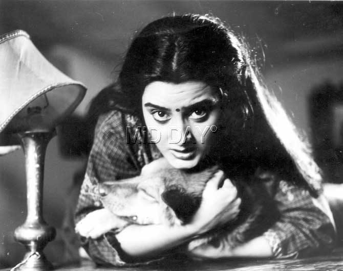 Farha Naaz, however, saw a low phase in her career between 1993 and 1996 when her films flopped at the box office. Farha Naaz, however, saw a low phase in her career between 1993 and 1996 when her films flopped at the box office.