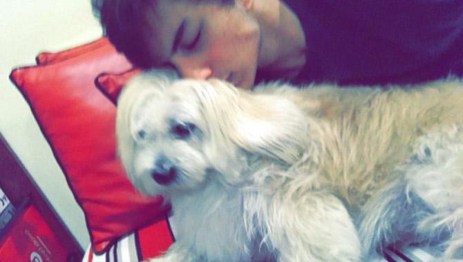 Going by this adorable picture, Ibrahim Ali Khan seems to be an animal lover.