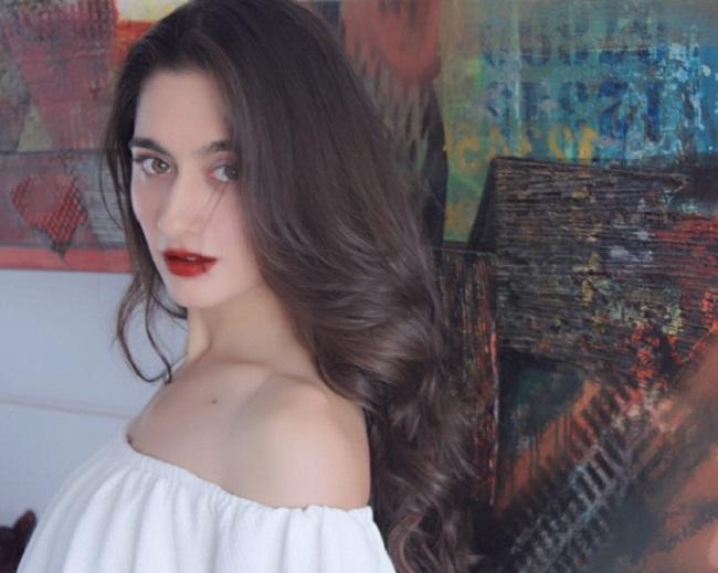 During the competition, fellow participants Rakhi Sawant, and her then-partner, Abhishek Awasthi alleged that Shaikh and Ali won the competition by bribing the makers of Nach Baliye. However, Sanjeeda and Aamir did not pay heed to the controversy.