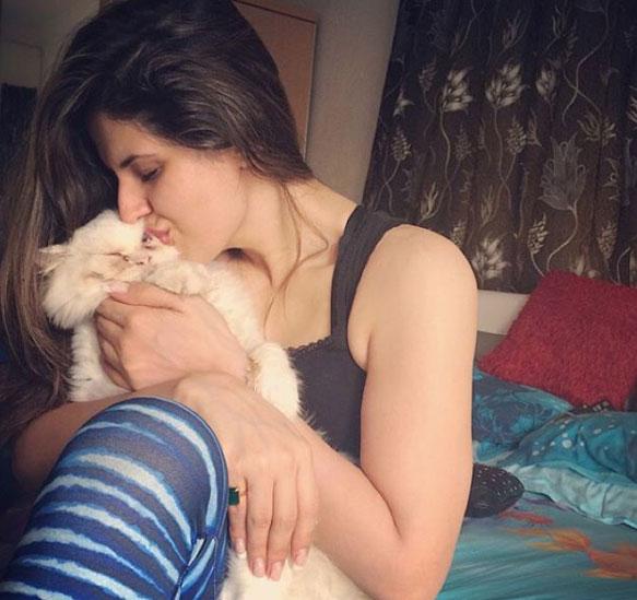 Zareen Khan pictured kissing her pet Persian cat. She is a cat lover and has almost a dozen cats at home and is keen to add more.