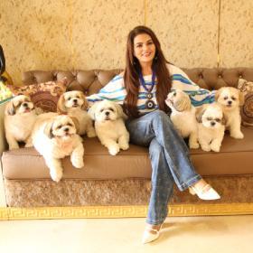 Sheeba Akashdeep Sabir and her 7 Shih Tzus