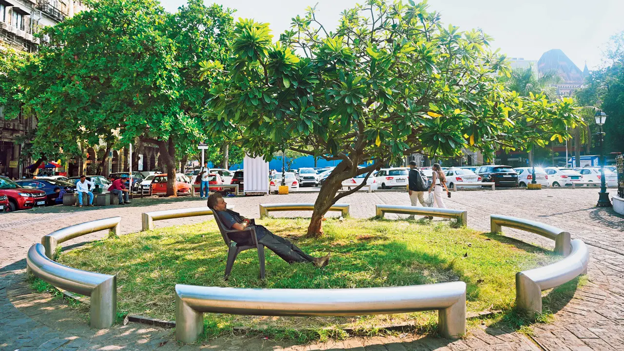 Oasis by the fountain