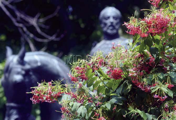 South Mumbai with myriad colours among the greens is picture perfect. Pic/Bipin Kokate