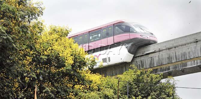 The monorail is beautifully framed by flowers in this picture. Pic/Suresh KK