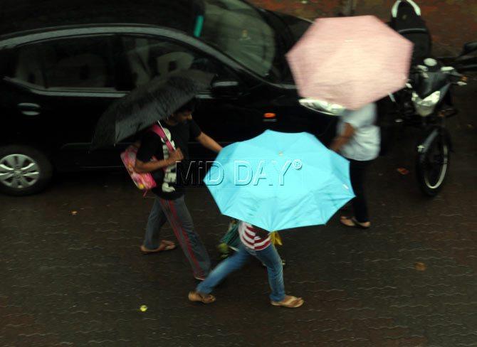 Dr Om Shrivastava, director of the department of infectious diseases, Jaslok Hospital, confirmed that the virus is bound to affect more people due to the cold weather. u00e2u0080u009cThe virus thrives in a climate like this. Dampness and cold weather will help the H1N1 virus to sustain longer,u00e2u0080u009d said Shrivastava.