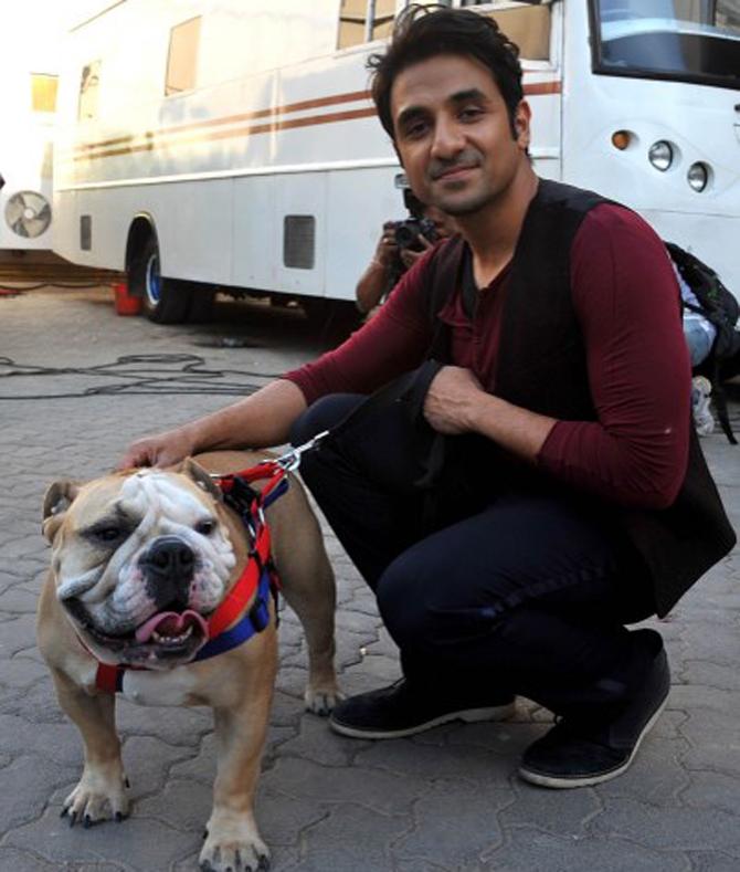 After completing his schooling in Delhi, comedian Vir Das achieved a Bachelor's Degree in Economics and Theatre from Knox College, Illinois. Vir Das, besides having many stage shows has also appeared in many Bollywood films.