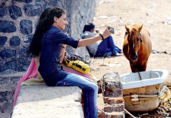 With the world celebrating Valentine's Week, love is all over the place. In this picture, it seems nothing - neither man nor beast - could come in the way of this duo trying to capture the perfect selfie at Dadar Chowpatty. Pic/ Satayjit Desai   