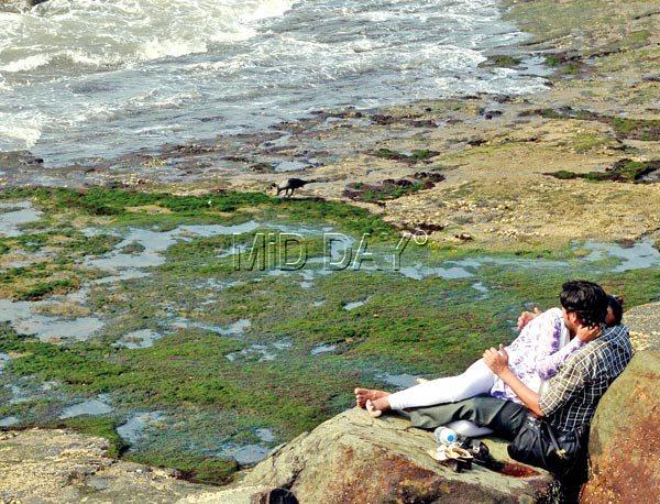 Their relationship is certainly not on the rocks. In this picture, a couple is seen getting intimate at Bandra Bandstand. PIC/Khushnum Bhandari   