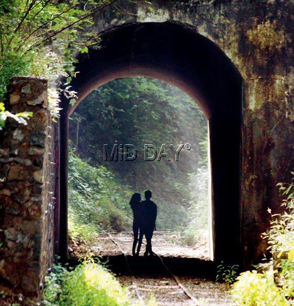 Borivli's Sanjay Gandhi National Park is home to not only interesting flora and fauna but also for those looking for that elusive faraway from Mumbai. Many couples also frequent the place for their pre-wedding photo-shoots. Pic/ Khushnum Bhandari   