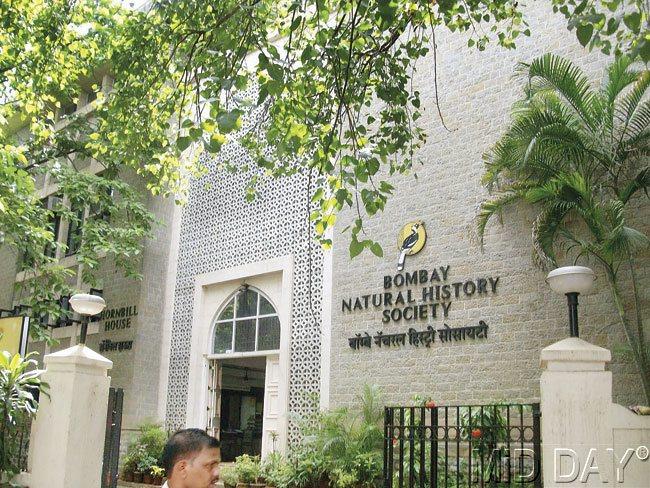 #07 Library at Bombay Natural History Society Clearly, the Indian sub-continent's largest NGO can also stake claim to be the home of one of the largest, most exhaustive collections on wildlife and environment from across the world. Founded in 1883, the Bombay Natural History Society (BNHS) stocks over 22,000 books and scientific journals. Look around and there's enough to pique your green side, from books on plant injuries to big cat territories in the Subcontinent and bird havens across India. The library also houses a photo library and stores collections of 30,000 birds, 20,000 mammals, 10,000 reptiles and amphibians and 50,000 insects, including extinct species. Interestingly, BNHS members collected tons of information on wildlife in India and its neighbours from the time when the British ruled over the Indian sub-continent. Some of its best research work dating back to the 1800s, gives the common man a fascinating insight into the flora and fauna of the Indian subcontinent. This has been converted into coffee table books, available on sale at BNHS as well as its website (www.bnhs.org). Some of these treasures include The Book of Indian Animals, The Book of Indian Reptiles and Amphibians, National Parks and Sanctuaries in Maharashtra (Volumes I and II), Living Jewels from the Indian Jungle, Natural History and the Indian Army and Latin Names of Indian Birds: Explained. u2013 Fiona Fernandez