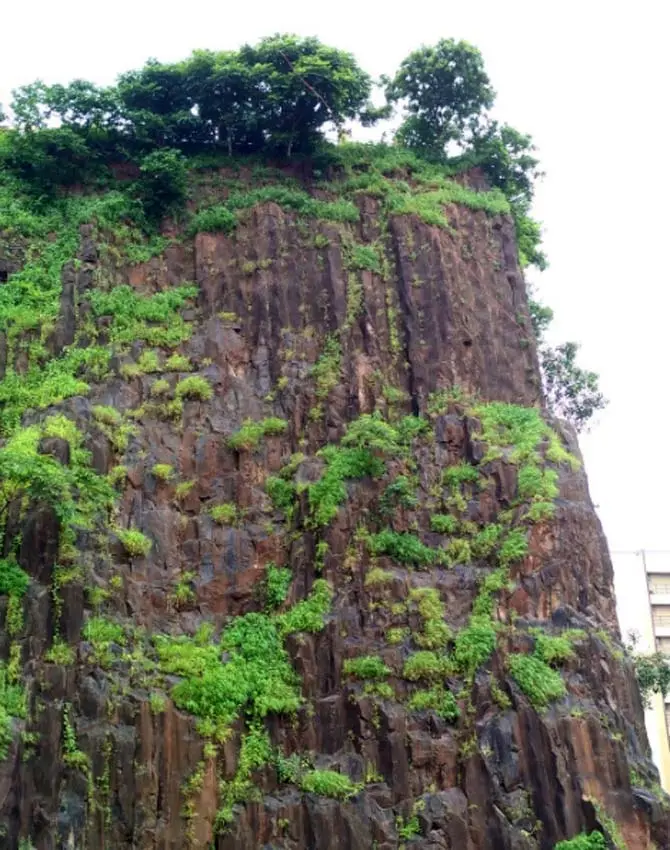 Gilbert Hill was declared a National Park in 1952 by the Central Government under the Forest Act. In 2007, after years of lobbying by geologists, the hill was declared a Grade II heritage structure by MCGM